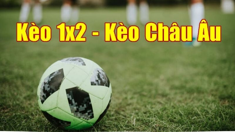 Không đặt cược theo xu hướng chung